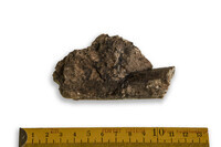 F 02272
<br/>
<br/>
<em></em>